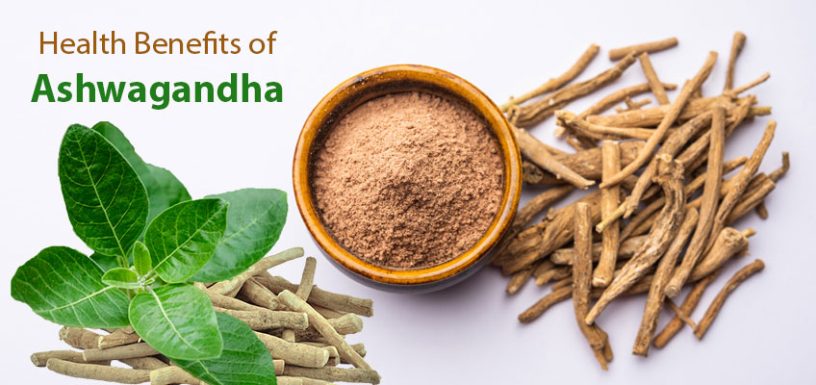 Health Benefits Of Ashwagandha - Growthon